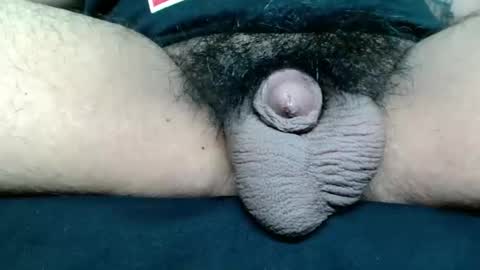 Snapshot of asiancum_jus chatting on November 14, 5:06 am asiancum_jus online show from November 14, 5:06 am