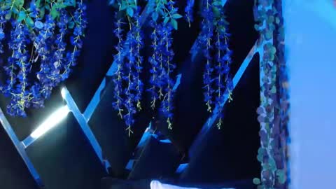 aurora online show from September 18, 2:19 pm