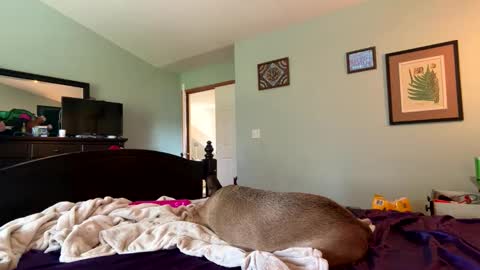 blue online show from April 4, 9:45 pm