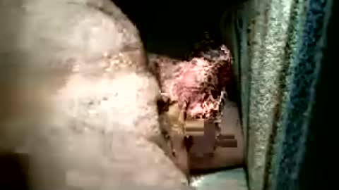 Snapshot of balthazar7676 chatting on June 24, 12:26 pm balthazar7676 online show from June 24, 12:26 pm