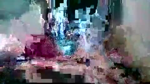 bamacpl80 online show from February 26, 7:35 pm