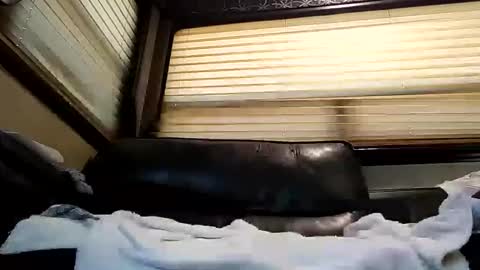 baobabtree8 online show from February 26, 2:14 pm