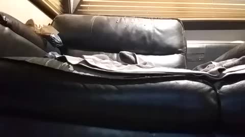 baobabtree8 online show from September 26, 12:53 pm