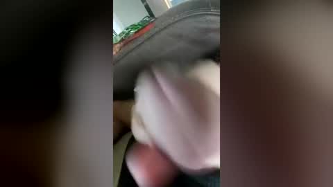 barbitall online show from June 27, 3:17 pm