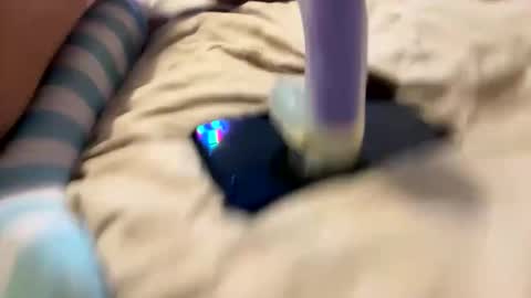 bathingcat online show from November 27, 9:55 am