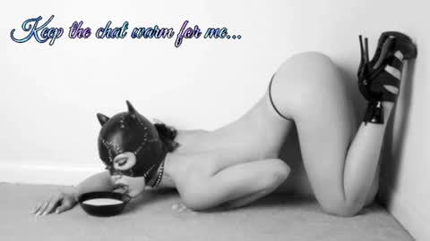 Snapshot of batmansfavoritewife chatting on July 11, 2:36 am Your always sexy Harley online show from July 11, 2:36 am