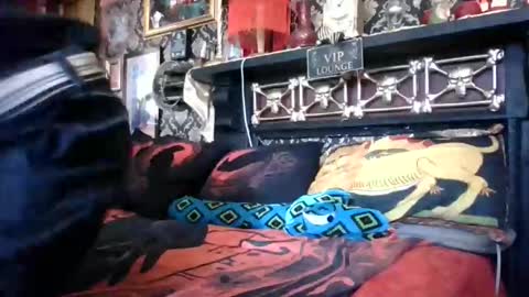 Bazza online show from February 18, 5:03 am