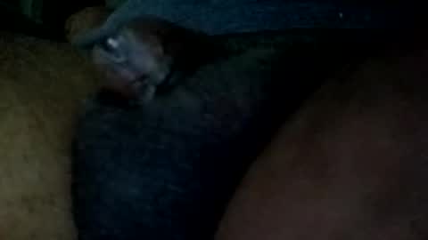 bcfalcon69 online show from May 31, 4:53 am