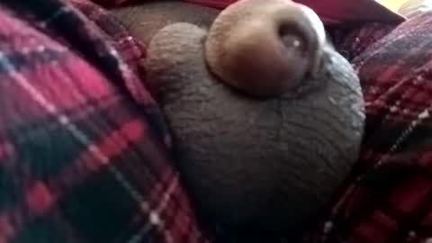 bcfalcon69 online show from June 1, 1:24 pm