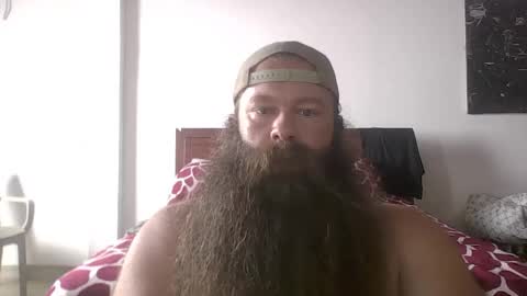 beardeddonkey88 online show from November 19, 3:56 pm