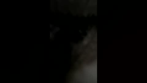 beardfacekilla online show from July 31, 8:41 pm