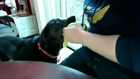 Snapshot of beardman916444 chatting on April 7, 5:57 pm Beardman online show from April 7, 5:57 pm