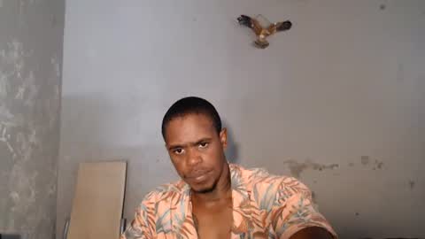 Frank online show from August 4, 8:50 am