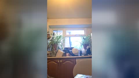 Snapshot of beefyting chatting on June 24, 7:46 pm zeef online show from June 24, 7:46 pm