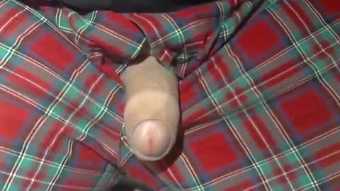  Reservoir Dogs online show from October 21, 10:05 am