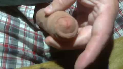  Reservoir Dogs online show from March 21, 2:16 am