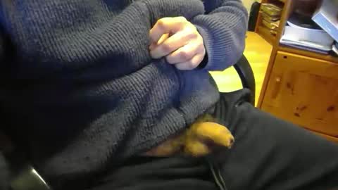 jaimetout online show from April 21, 12:33 pm