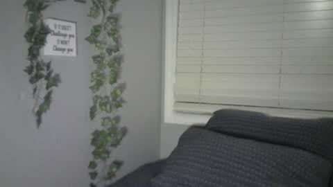 Ben online show from February 5, 11:34 am