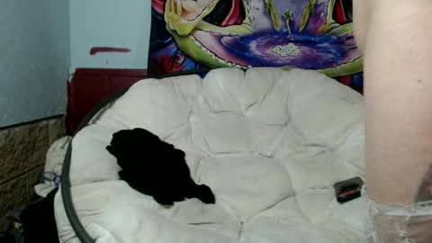 Snapshot of bentbunny21 chatting on July 8, 3:00 am Bent Bunny online show from July 8, 3:00 am