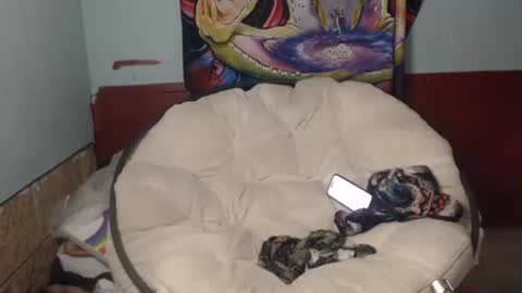 Snapshot of bentbunny21 chatting on July 22, 2:53 pm Bent Bunny online show from July 22, 2:53 pm
