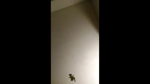 bigchorizo18 online show from April 2, 5:16 am