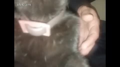 Snapshot of bigdick666cm chatting on February 22, 2:34 am Big online show from February 22, 2:34 am