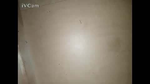 Snapshot of bigdick666cm chatting on March 13, 3:29 pm Big online show from March 13, 3:29 pm