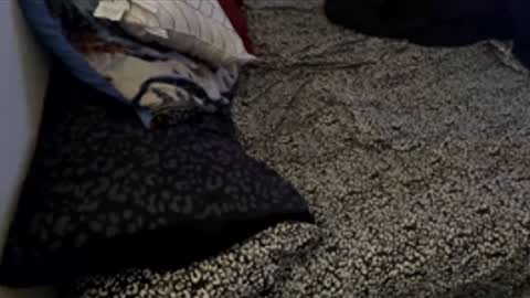 Snapshot of bigdickpapishampoo chatting on November 28, 6:21 pm bigdickpapishampoo online show from November 28, 6:21 pm