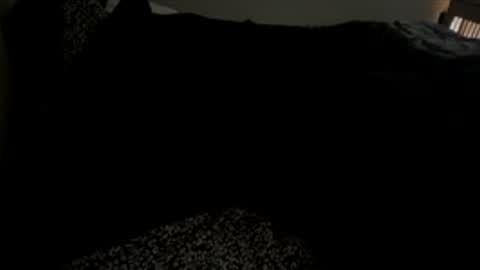 Snapshot of bigdickpapishampoo chatting on December 1, 2:00 pm bigdickpapishampoo online show from December 1, 2:00 pm