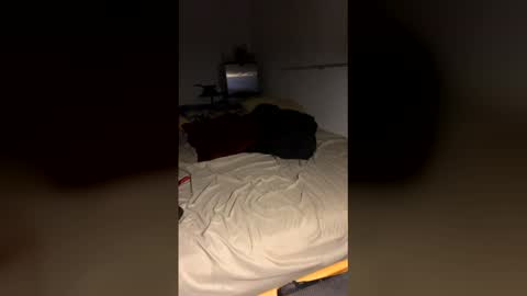 Snapshot of bigdickpapishampoo chatting on December 19, 10:00 am bigdickpapishampoo online show from December 19, 10:00 am