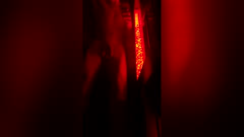 Snapshot of bigdickpapishampoo chatting on December 23, 8:12 am bigdickpapishampoo online show from December 23, 8:12 am