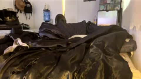 Snapshot of bigdickpapishampoo chatting on February 4, 6:47 pm bigdickpapishampoo online show from February 4, 6:47 pm