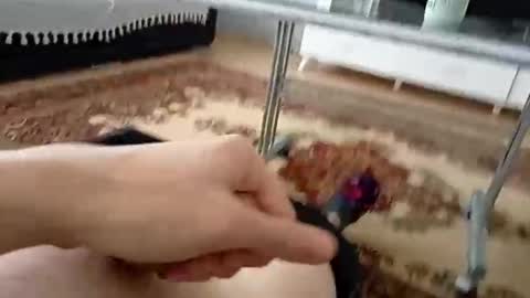 bighardlongdick20cm online show from May 24, 11:37 am