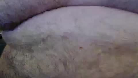 Snapshot of bigstudfred chatting on March 8, 11:58 am jason online show from March 8, 11:58 am