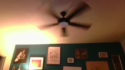 Snapshot of billjames55 chatting on May 16, 10:23 am billjames55 online show from May 16, 10:23 am