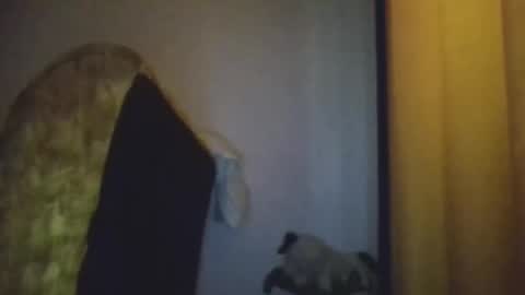 black african online show from November 20, 5:29 am