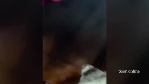 Lilly and Bryson online show from December 3, 3:58 am