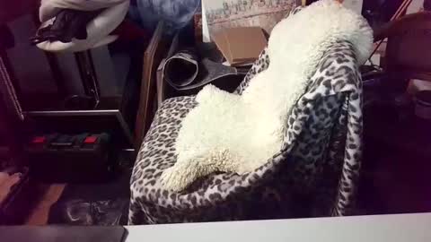 Snapshot of blindsurfer780299 chatting on March 15, 5:13 am blindsurfer780299 online show from March 15, 5:13 am