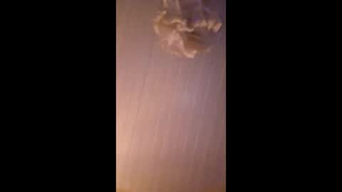 Snapshot of bobberman78 chatting on December 20, 4:25 pm Dan online show from December 20, 4:25 pm