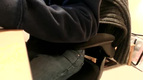 bobbuild online show from January 7, 9:01 am