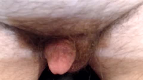 bobswan online show from April 13, 6:35 pm