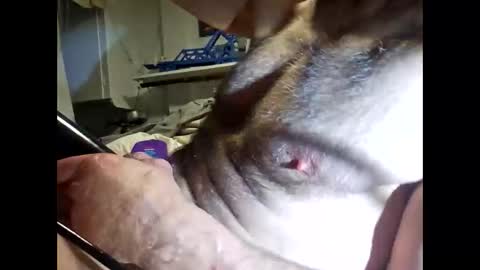 bonop1 online show from March 19, 10:19 am