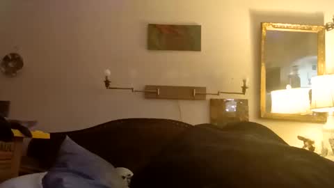 boredaf6678 online show from December 16, 1:10 am