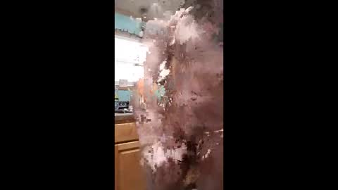 bossusaround online show from January 11, 10:04 pm