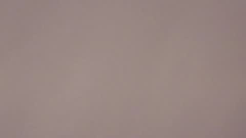 Brandy online show from January 17, 7:24 am