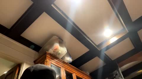 bravo323 online show from October 2, 6:26 pm