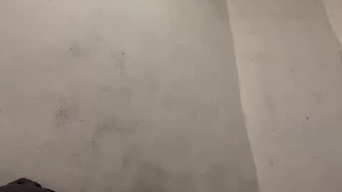 breanexe online show from October 29, 11:01 am