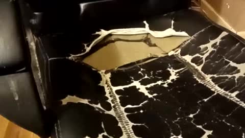 BB online show from December 14, 1:33 am