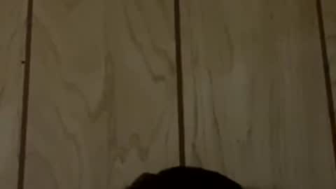 brianrenfro1234 online show from April 30, 8:04 pm