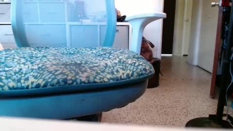 bruceb124u online show from September 26, 4:00 pm